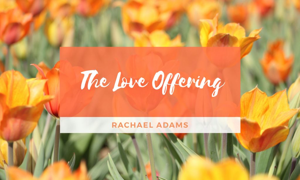 Love Offering Rachael K. Adams