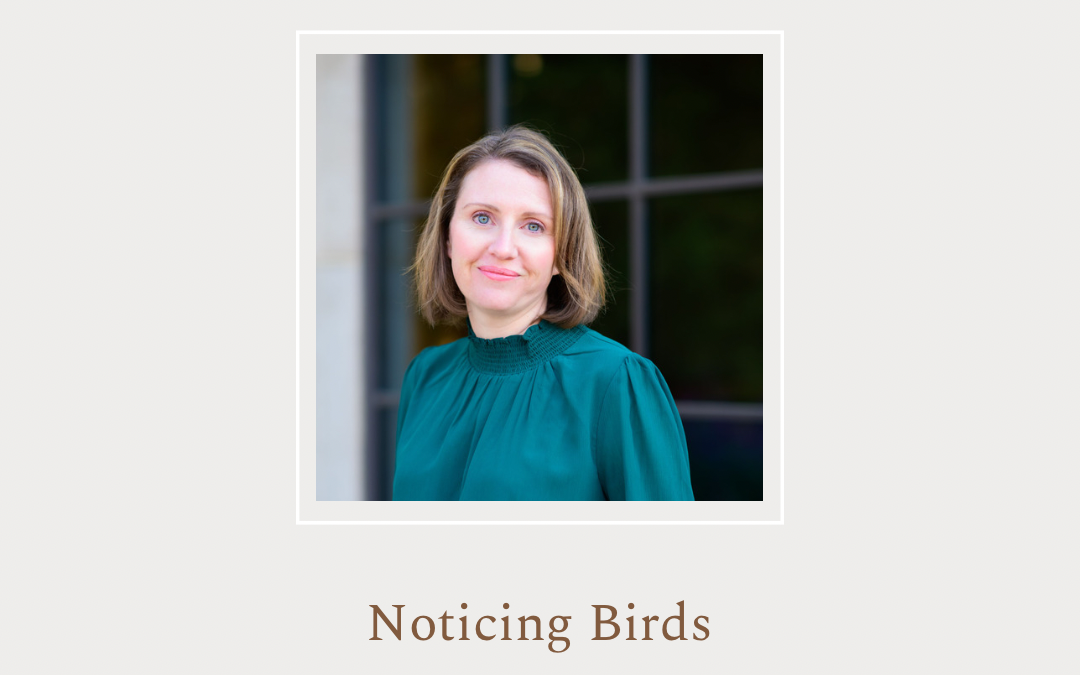 Noticing Birds: If God Takes Care of Birds, He Will Take Care of You by Juli Boit
