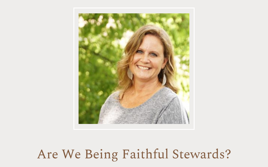 Are We Being Faithful Stewards? By Carrie Bevell Partridge