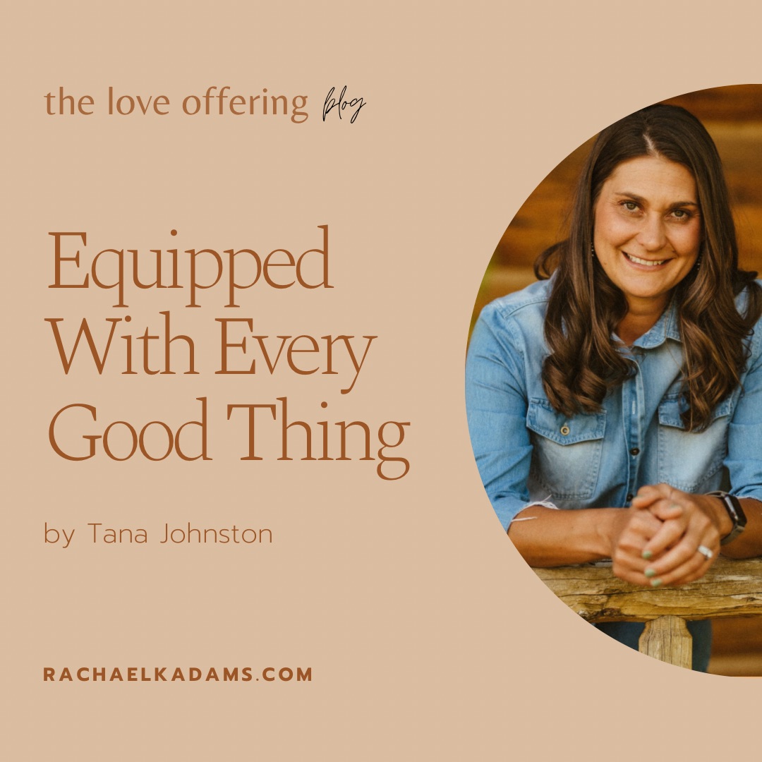 Equipped With Every Good Thing by Tana Johnston