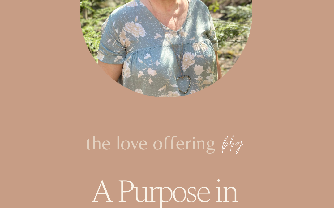 A Purpose in Every Season by Mary Beth Powers