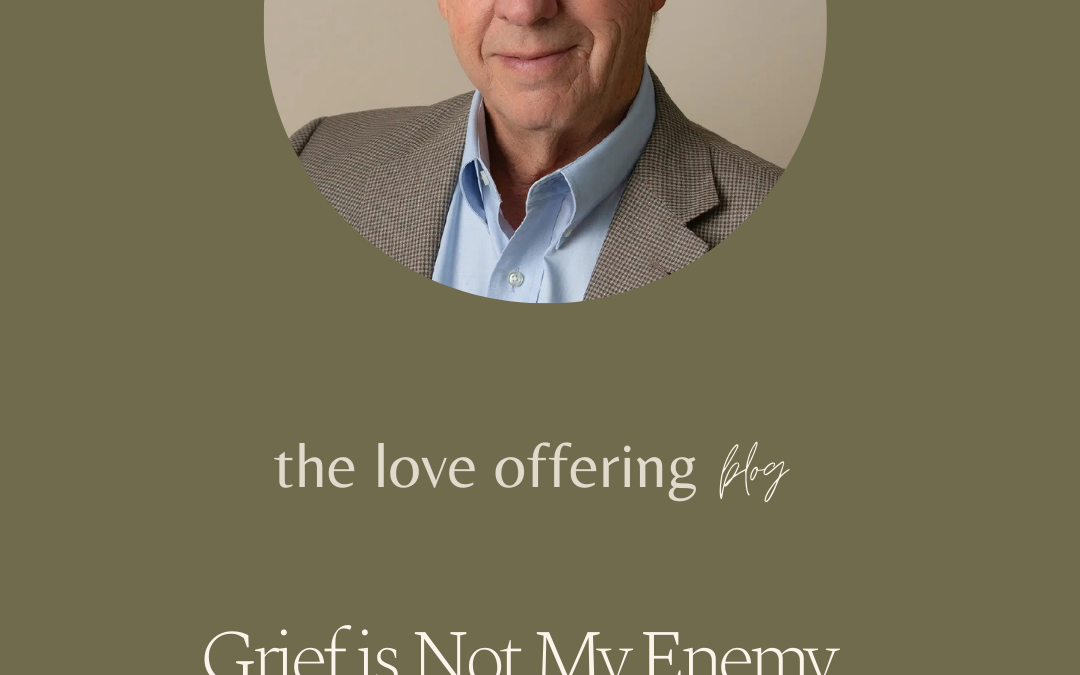 Grief is Not My Enemy by Stephen Silver 