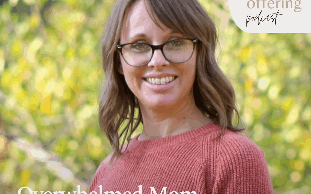 Overwhelmed Mom: A Conversation with Jamie Erickson