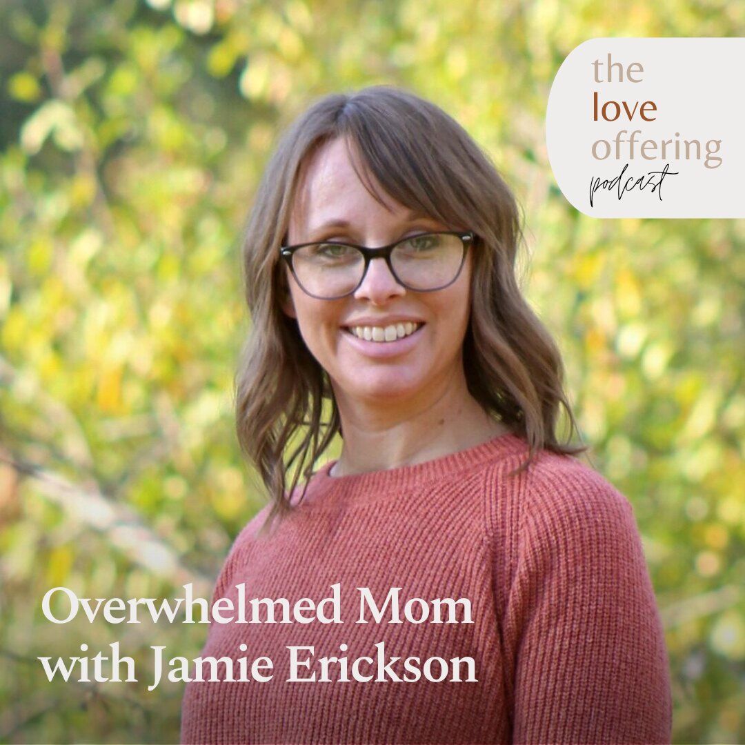 Jamie Erickson Jamie Erickson