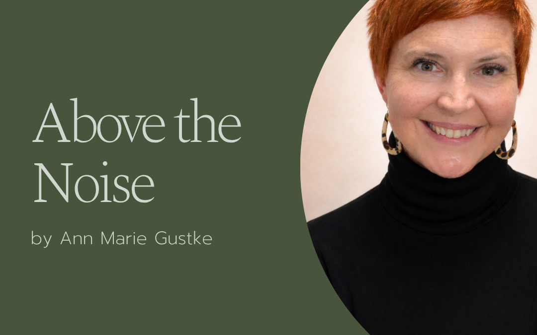 Above the Noise by Ann Marie Gustke